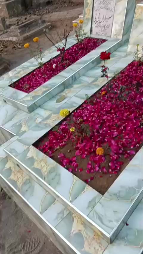 @wasim k