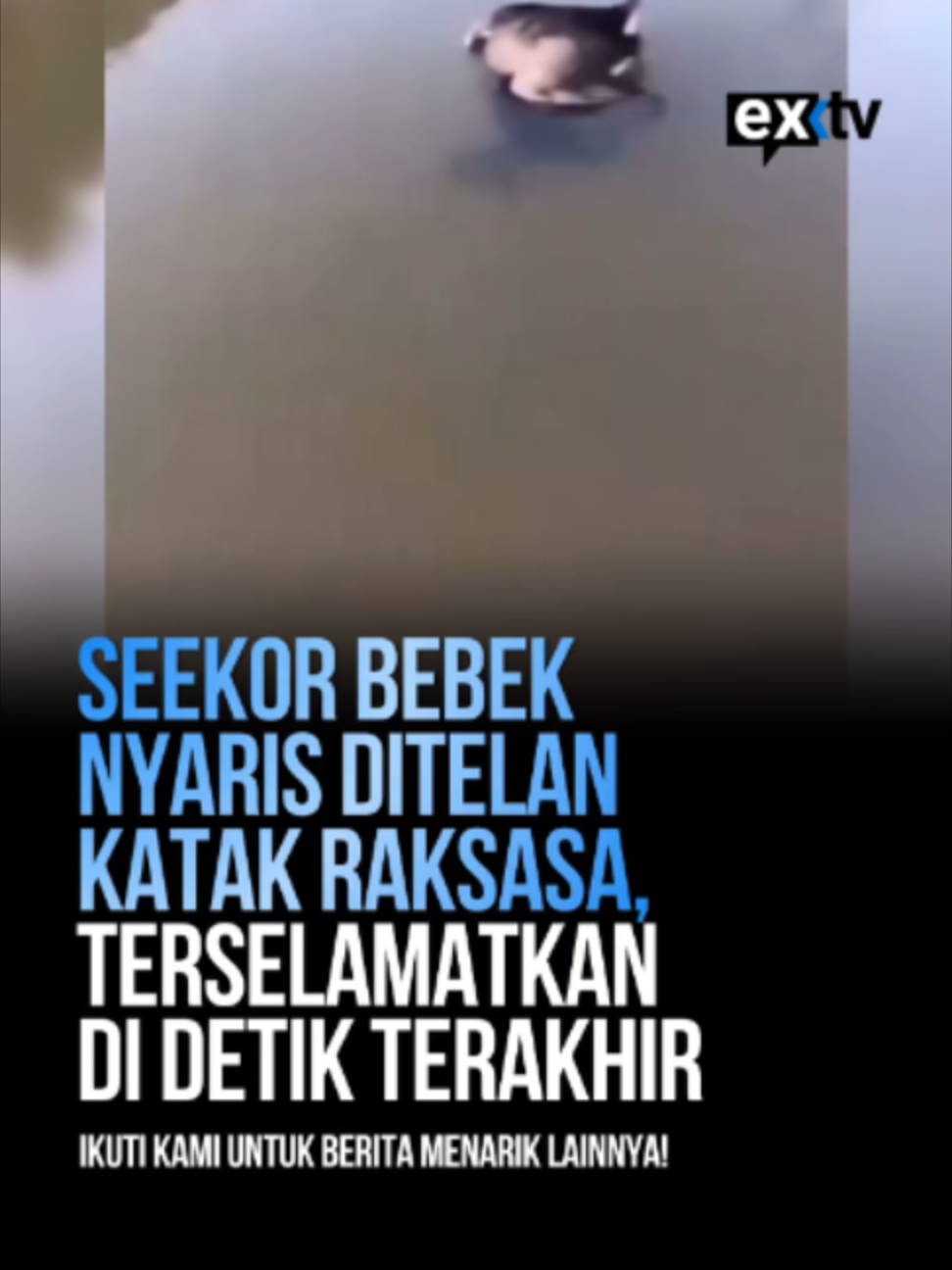 @Expressi Media