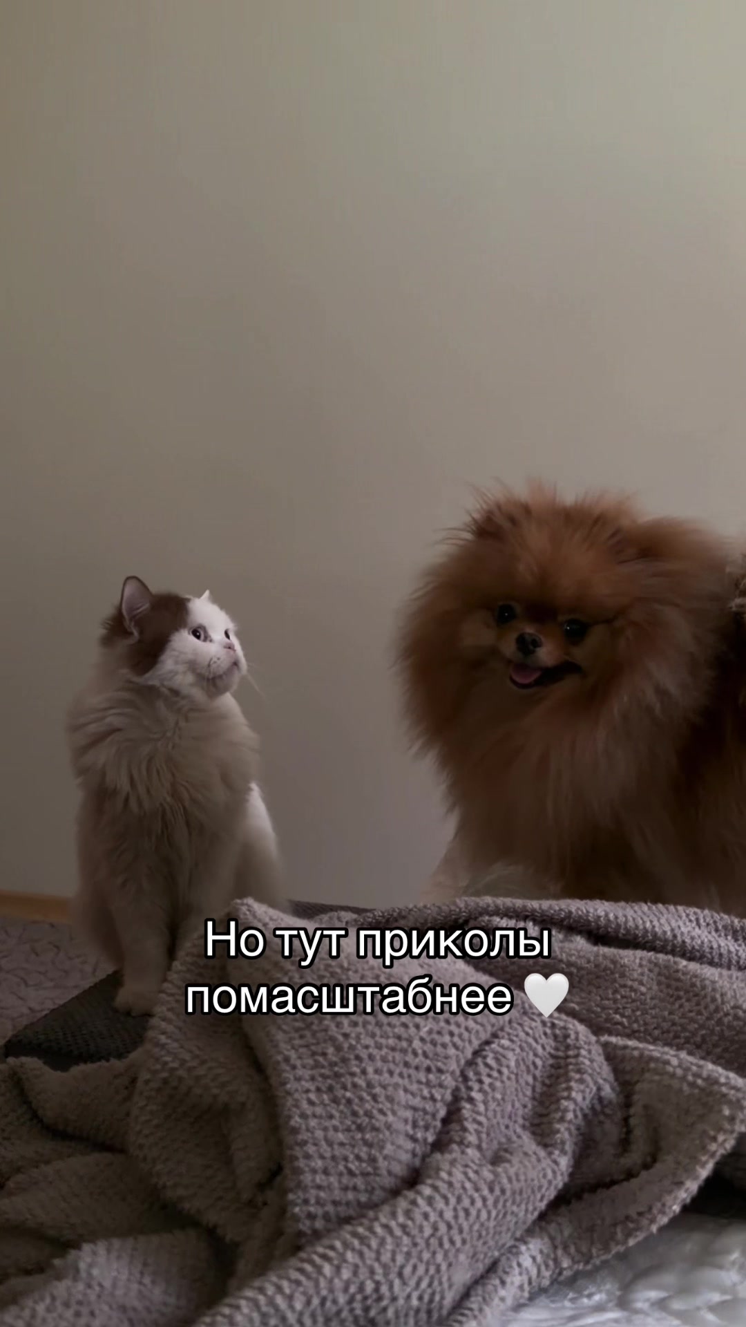 @Русиковна 🩶