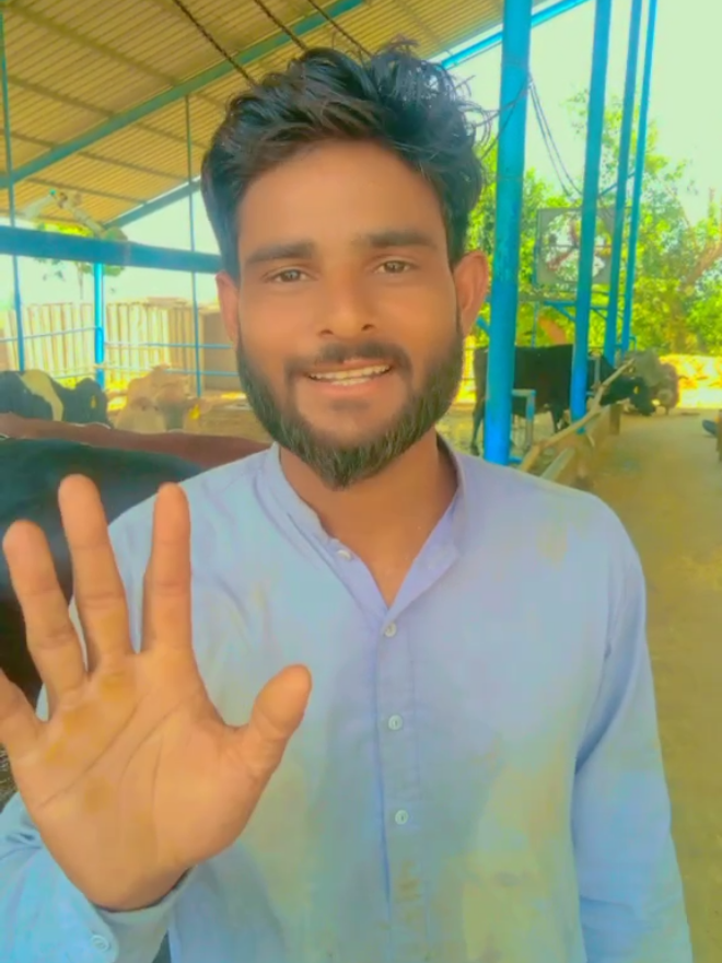 @Hayya Daires ٹوبہ Tts