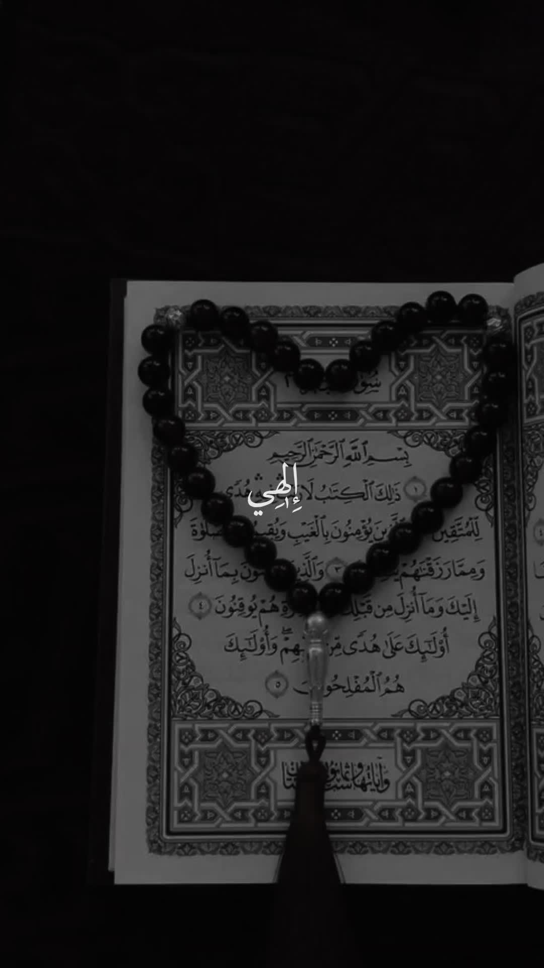 @قائد الغُرِّ المُحَجَّلين