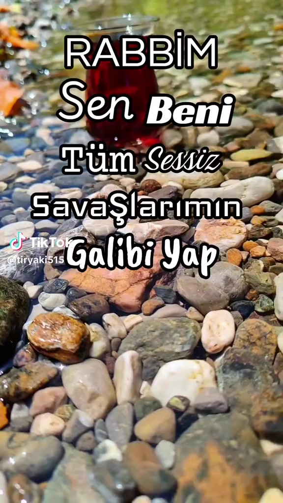 @ö. g. m.