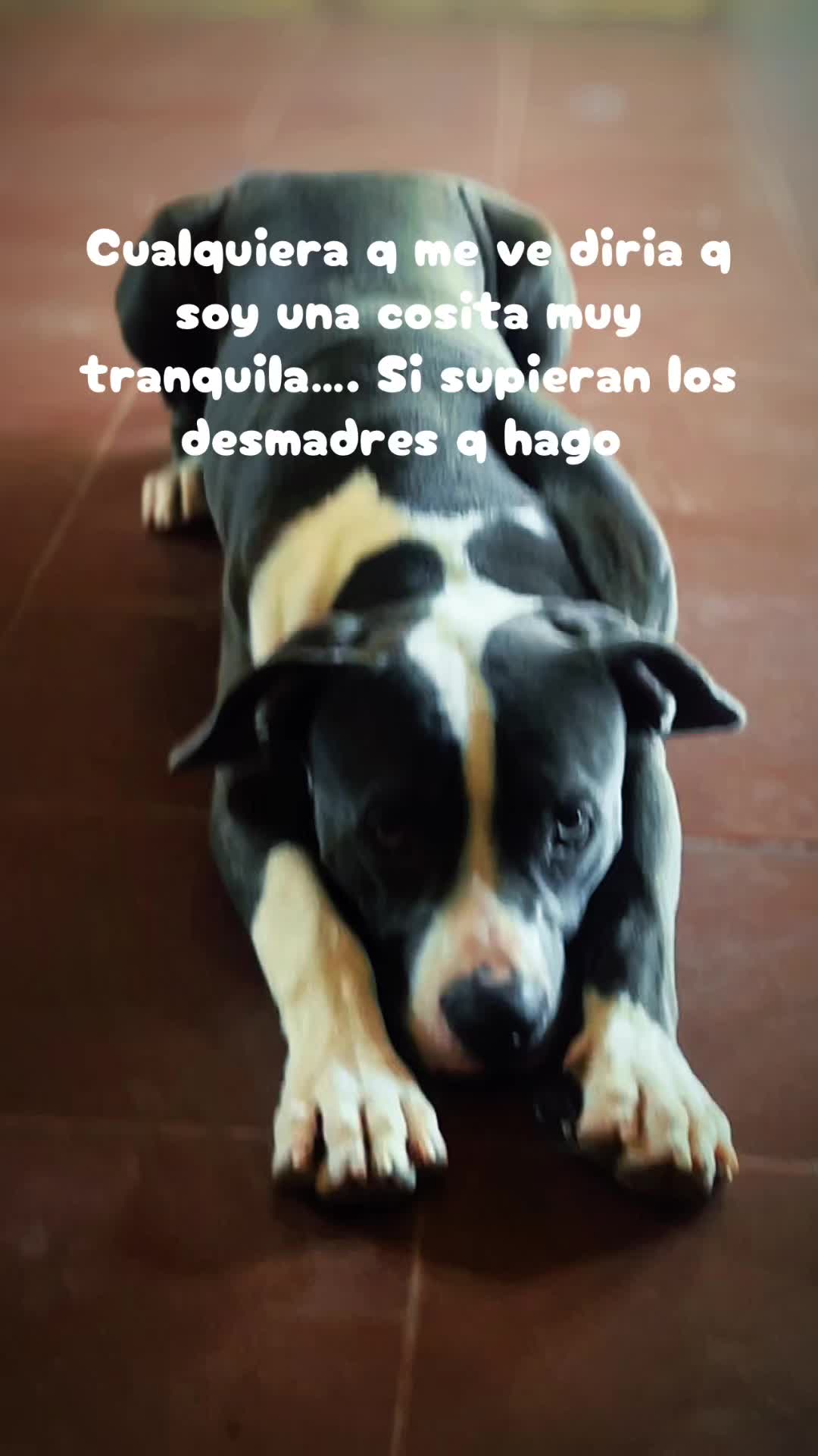 @crismarvera