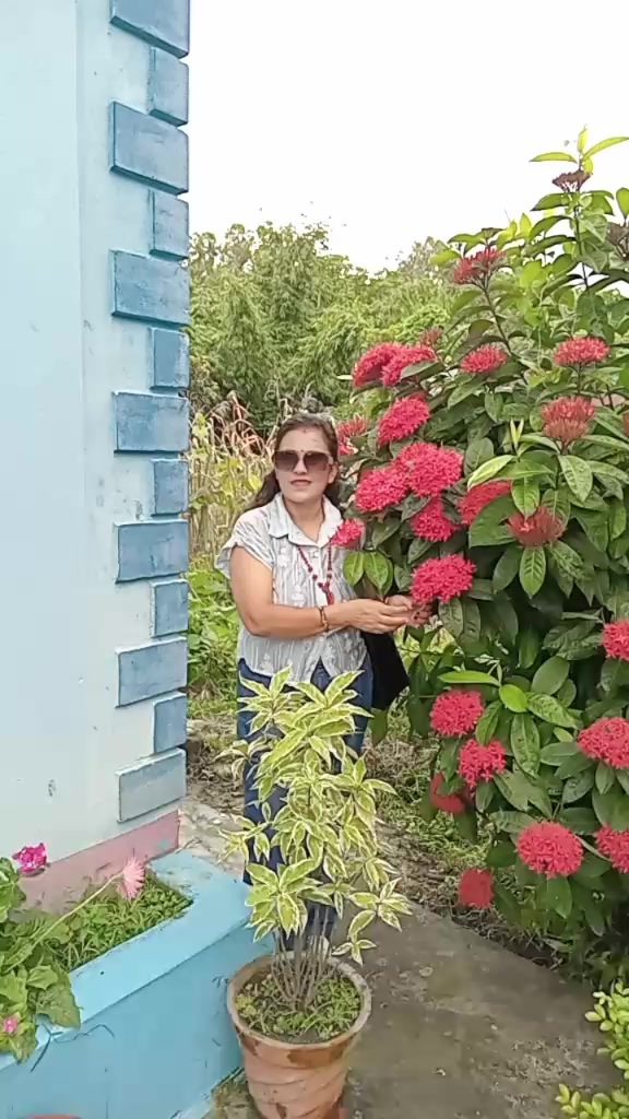 @kopila936
