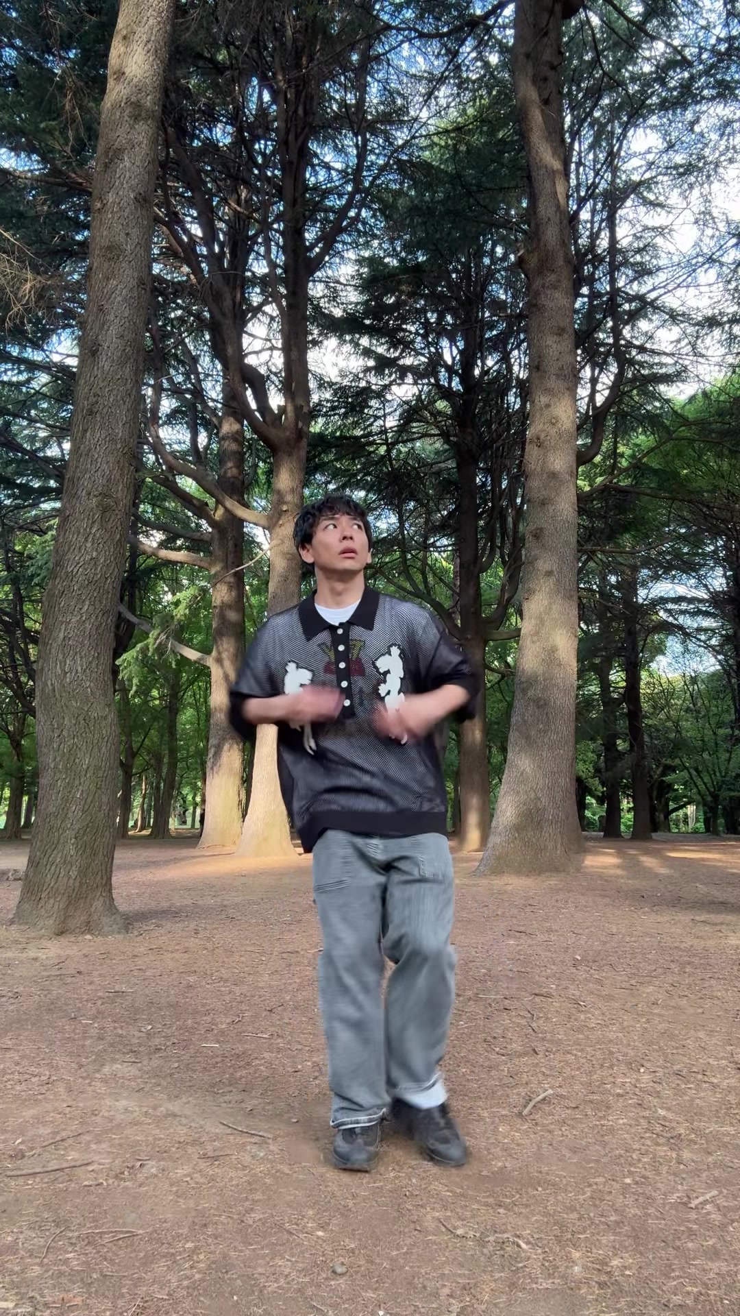 @さや香石井の気になるダンス