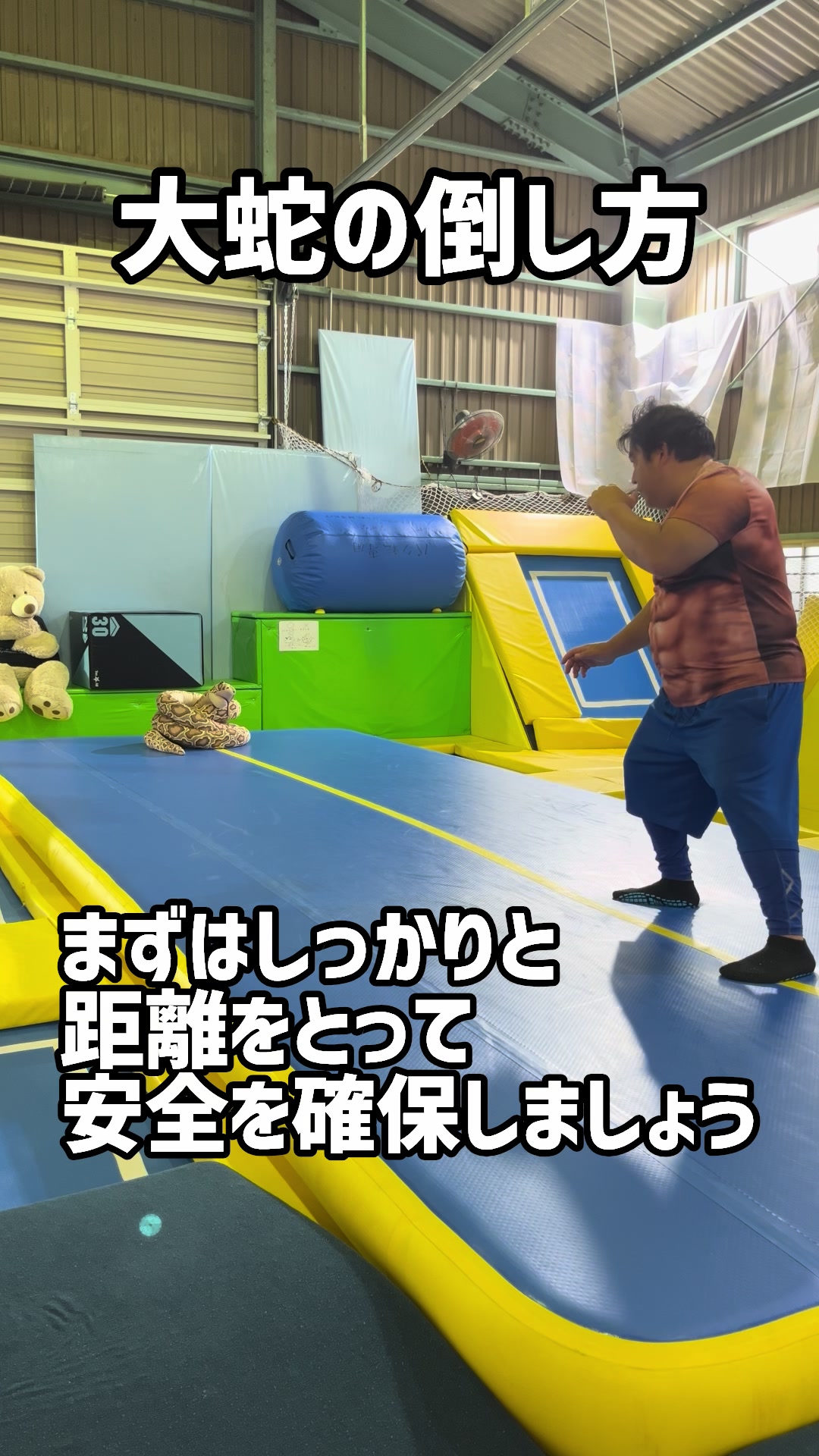 @マヒマヒトランポリン