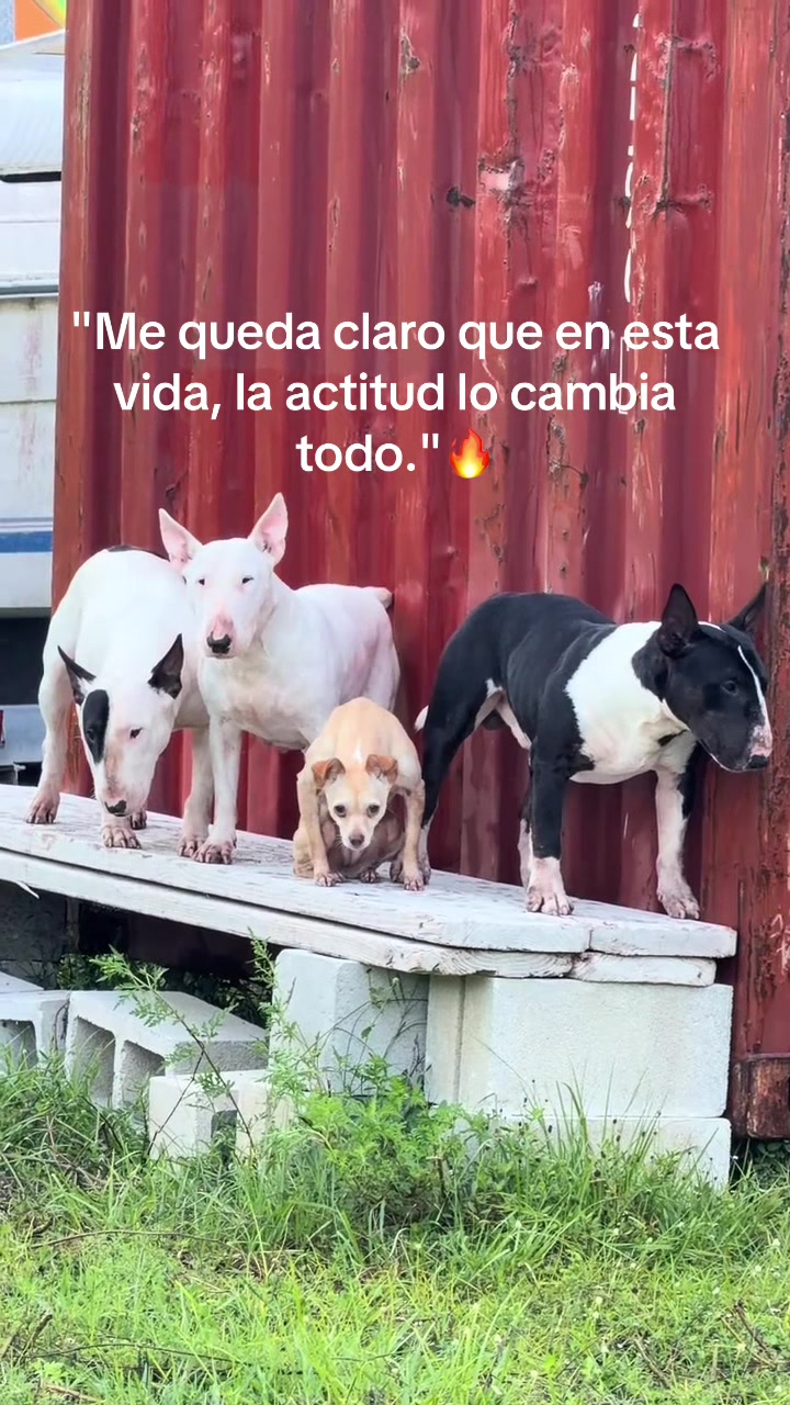 @lulys 💞🥰