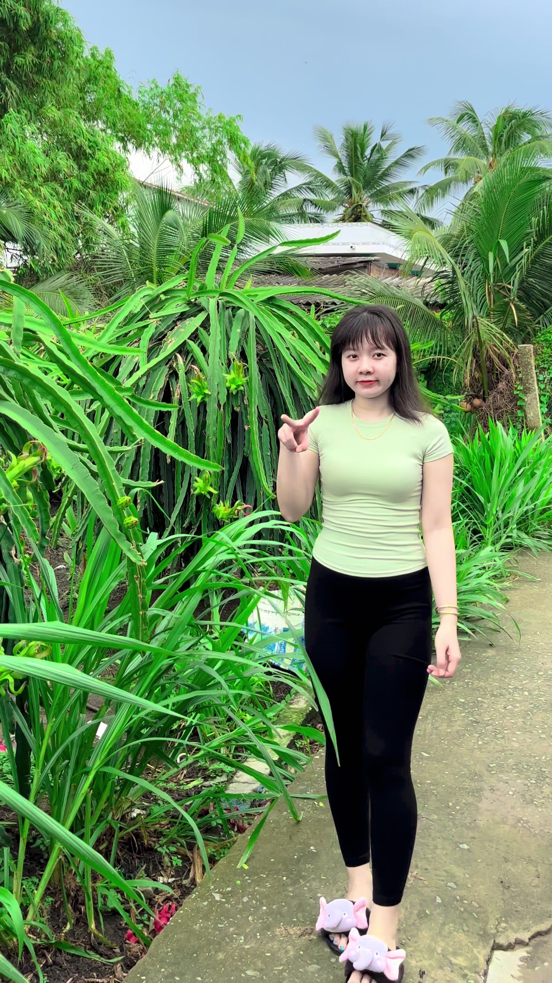 @Cẩm Trúc