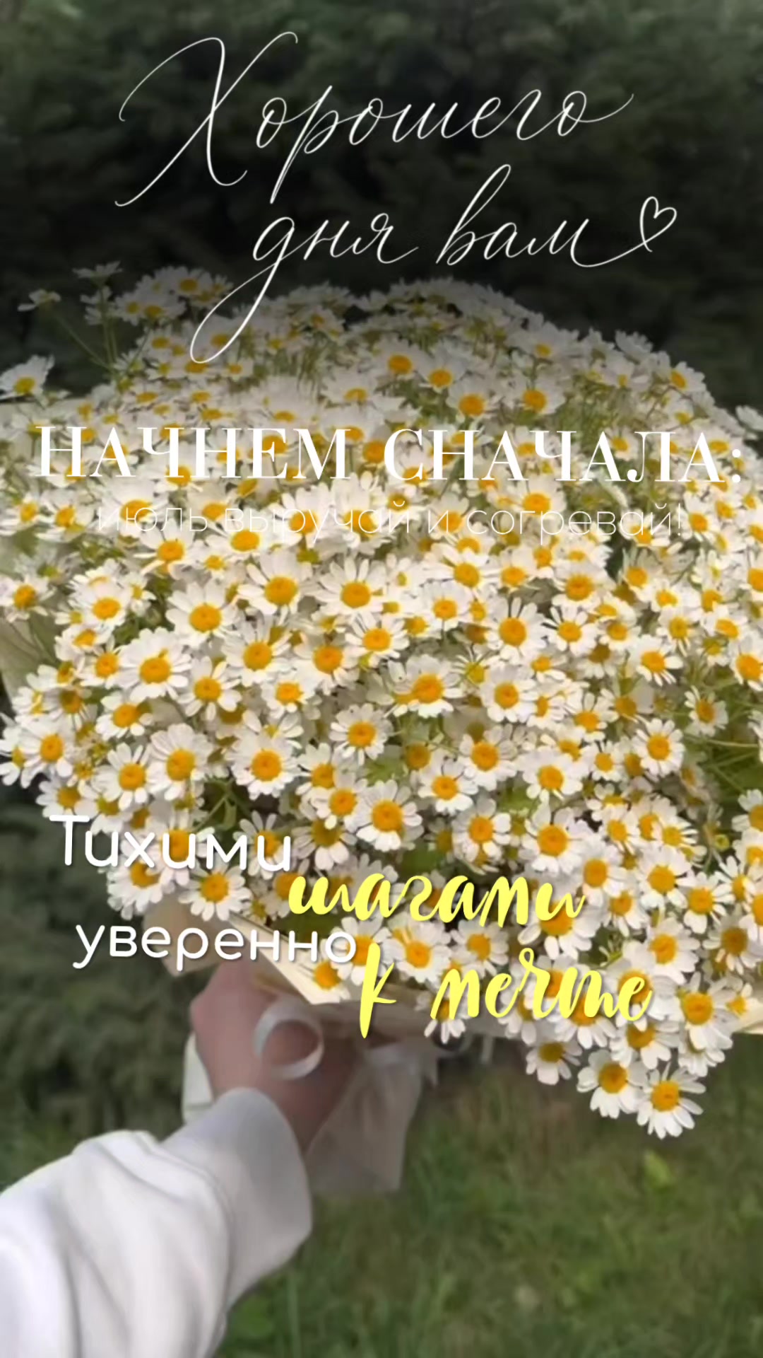 @☆꧁✬◦.𝒱.𝒮𝒽 .✬꧂☆