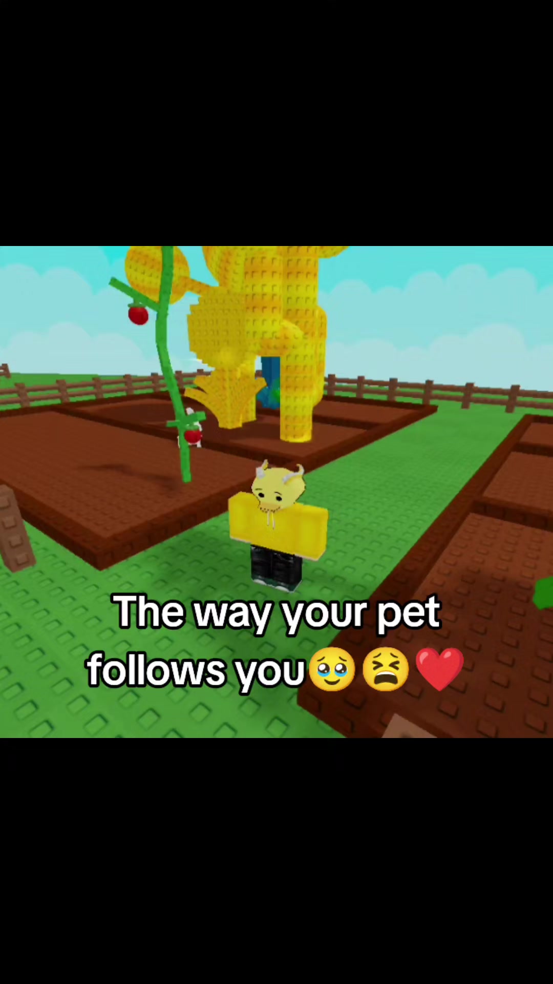 @KwackT