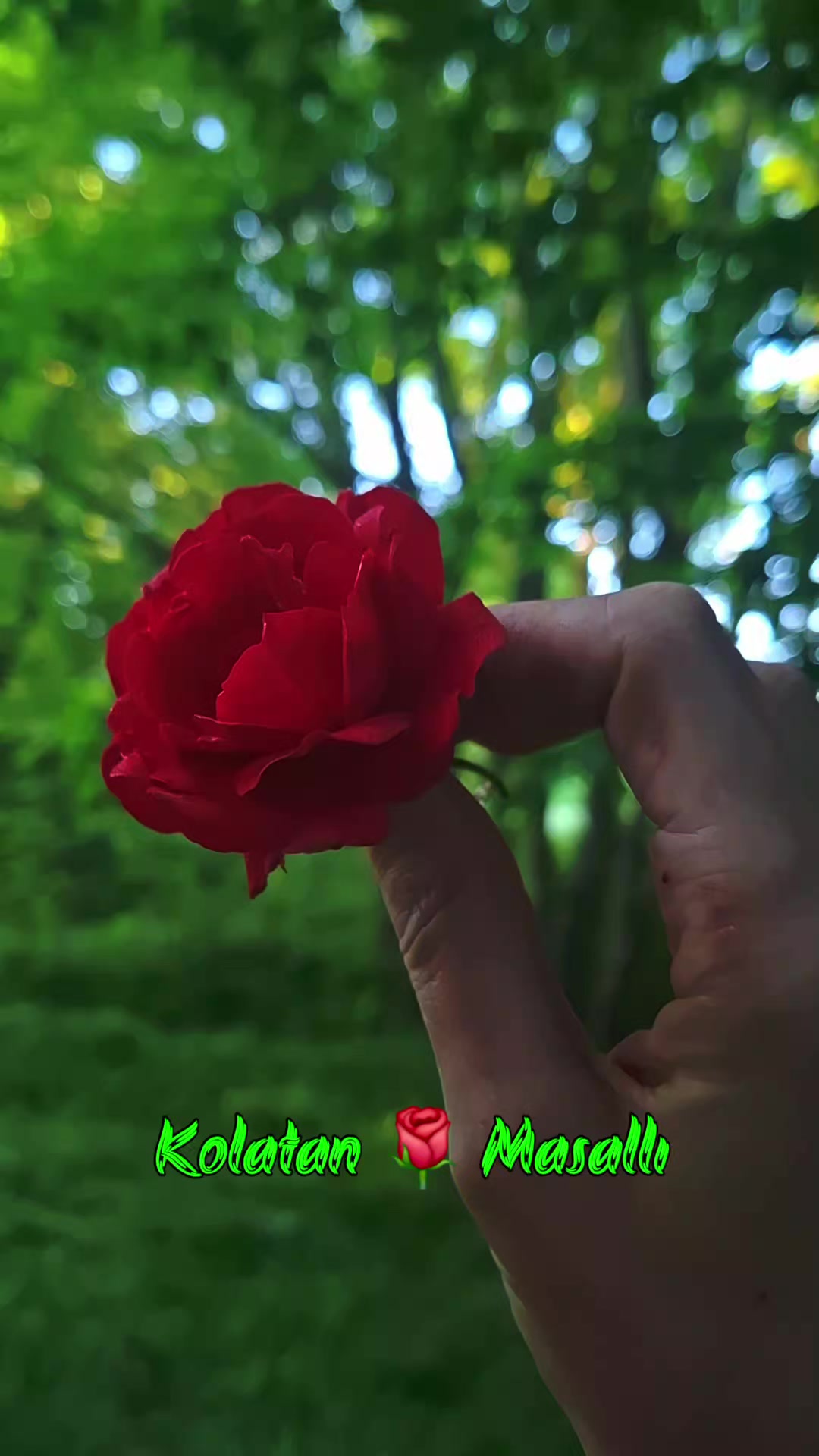 @𝑲𝑶𝑳𝑨𝑻𝑨𝑵🦅𝑴𝑨𝑺𝑨𝑳𝑳𝑰