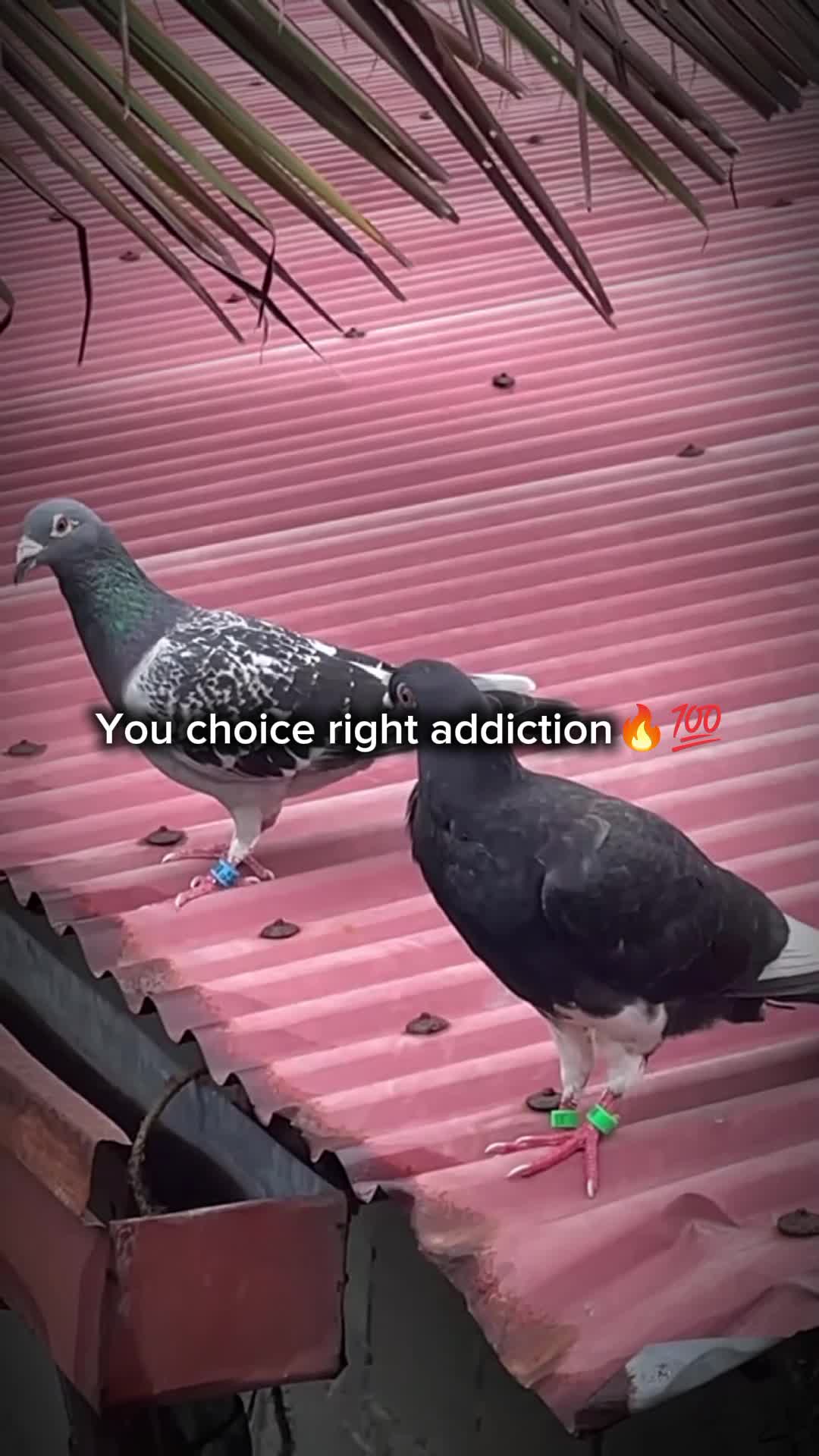 @KyLeH.13