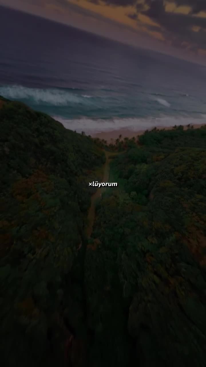 @𝗱𝗺𝗻𝗹𝘆𝗿𝗶𝗰𝘀