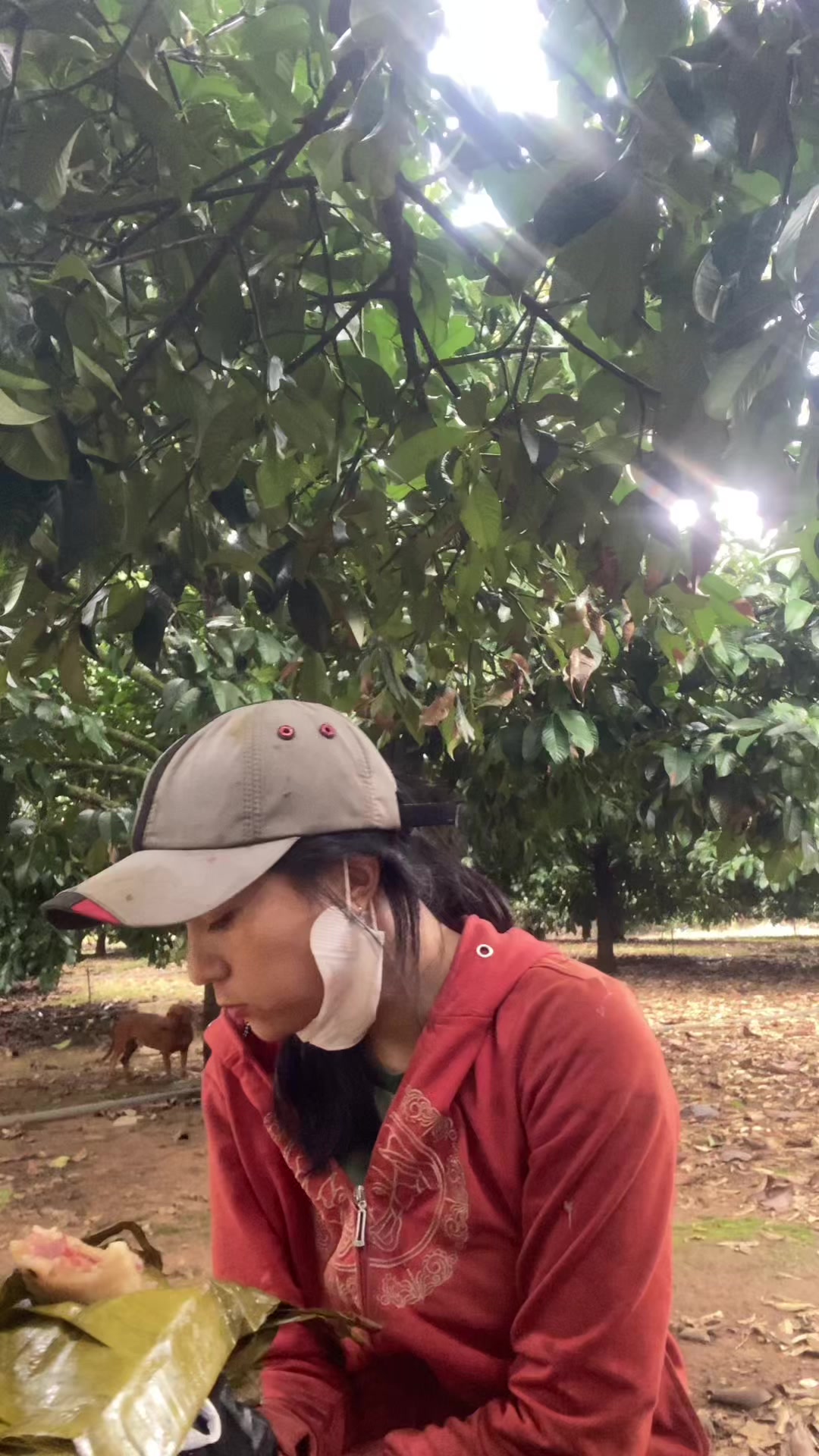 @hong_anh666