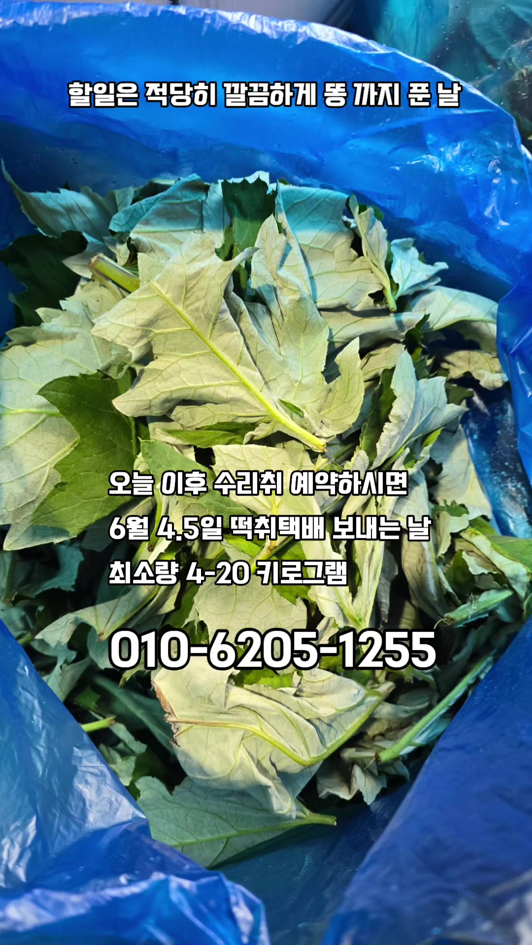 @🔥고물급남자