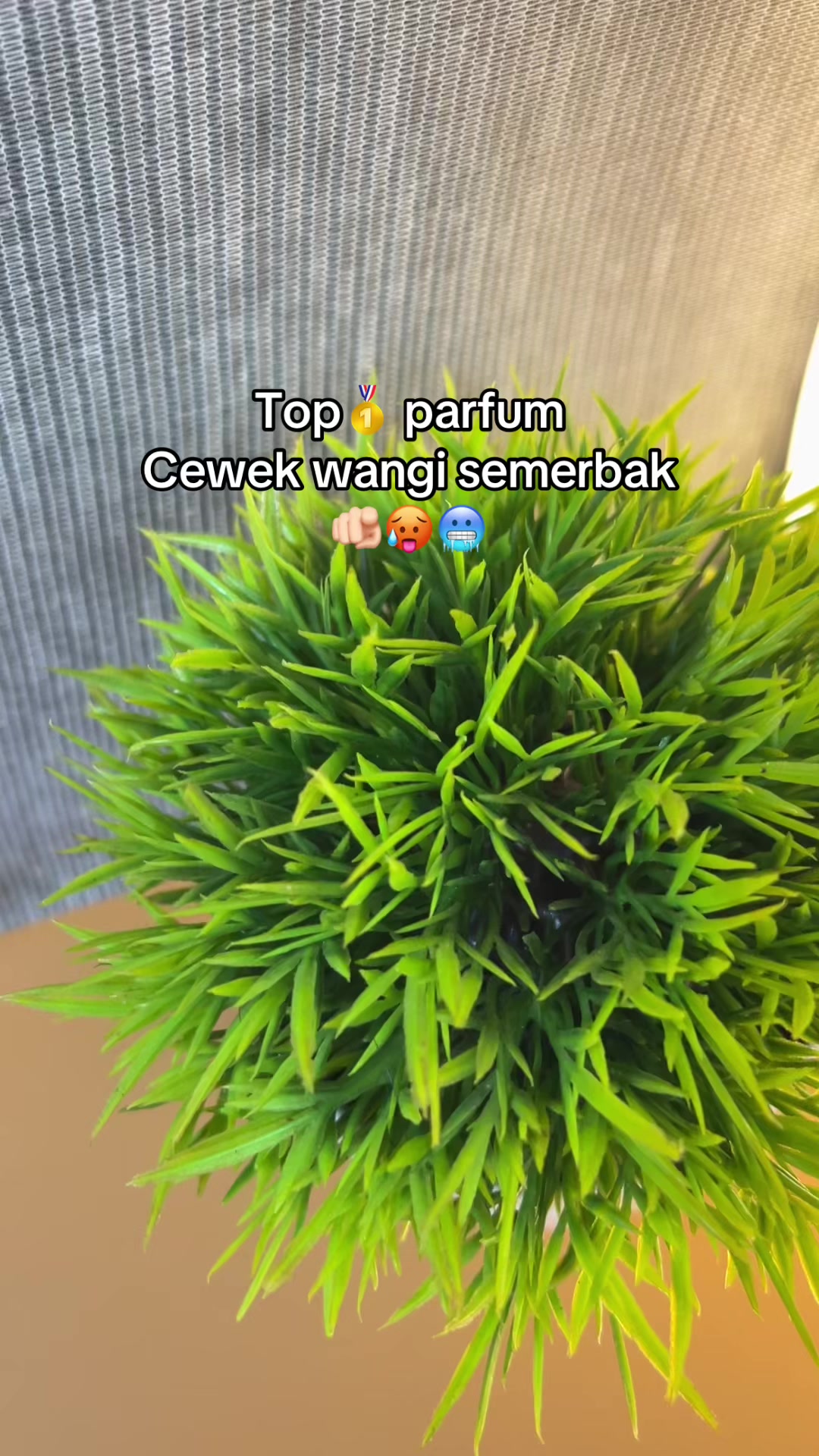 @Mas C ๐๐