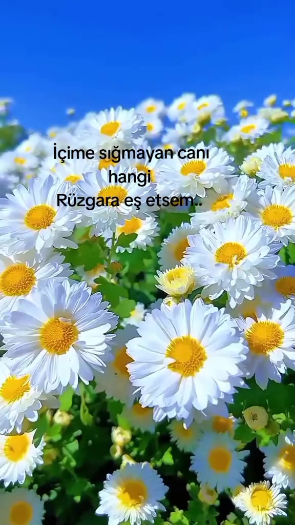 @Zübeyde karakaş 💜💙❤🩵