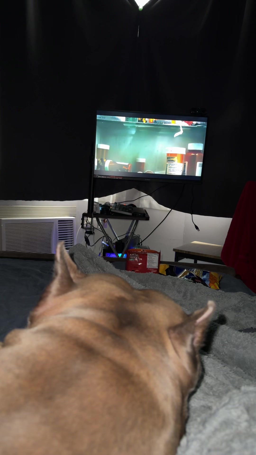@Booey and Mochi