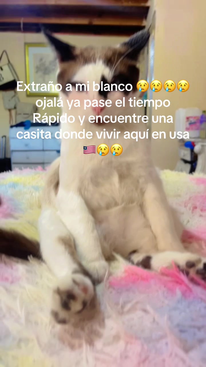 @Mi bella Prinsesa👑💕que adoro