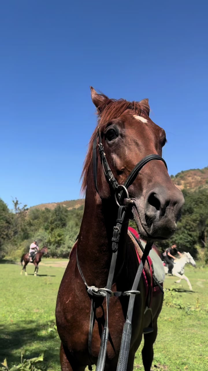 @🐎Ева🐎