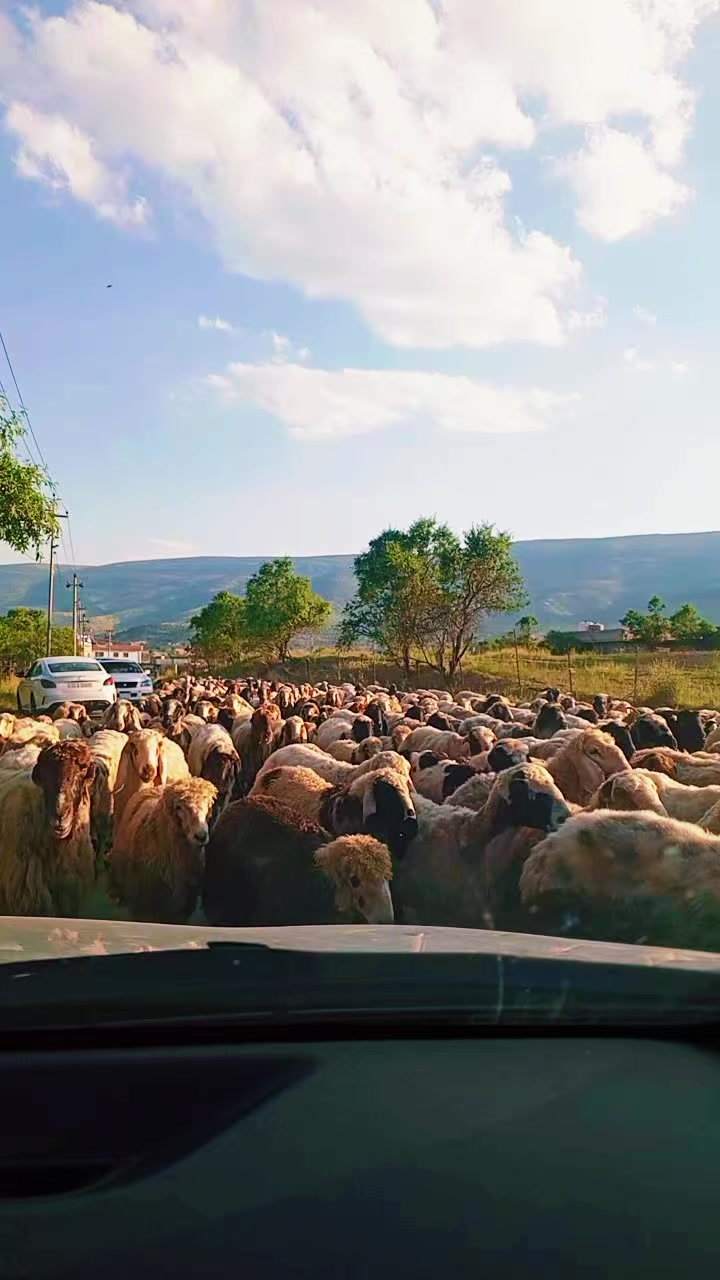 @🦅احمدی کەباب چی🦅