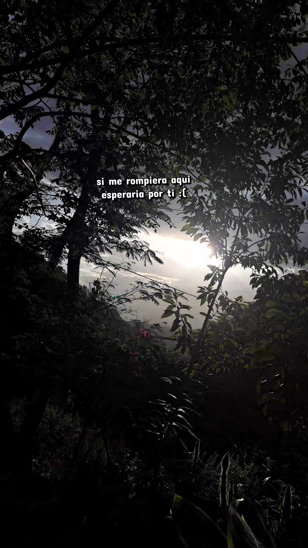 @🌺𝓐𝓷𝓭𝔂𝓪𝓷𝓮𝓵𝔂🌸