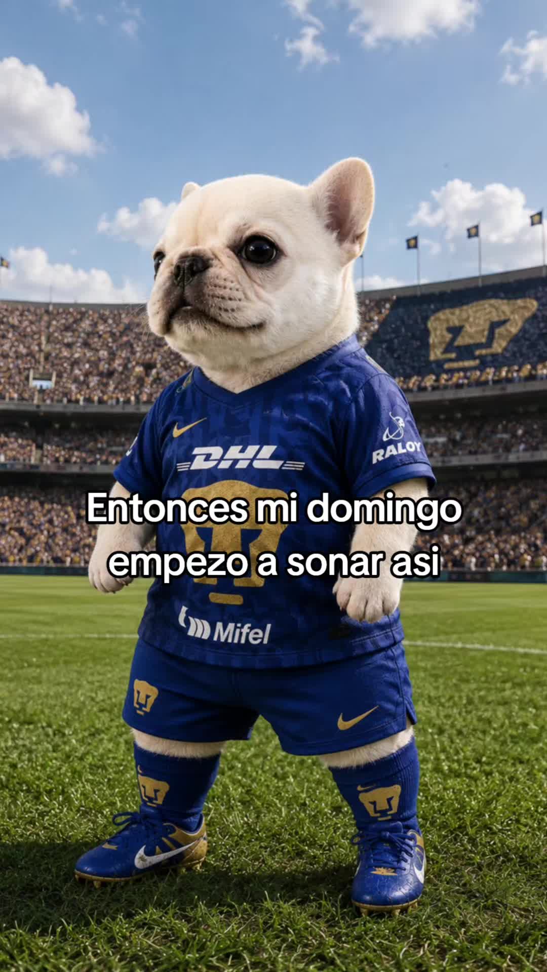 @Ing.Michito😸🇲🇽🇨🇴🌠🦁🐾