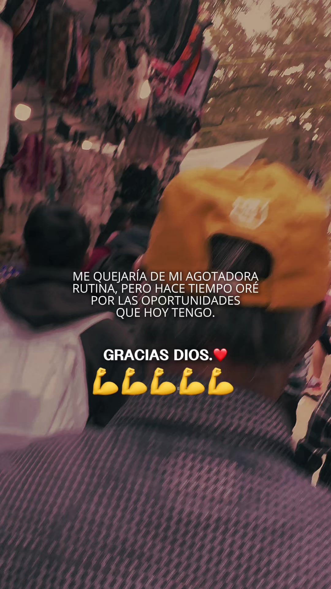 @Rol 🏳️🌈