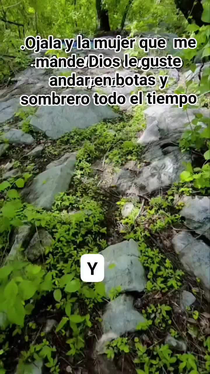 @Pedro salvador