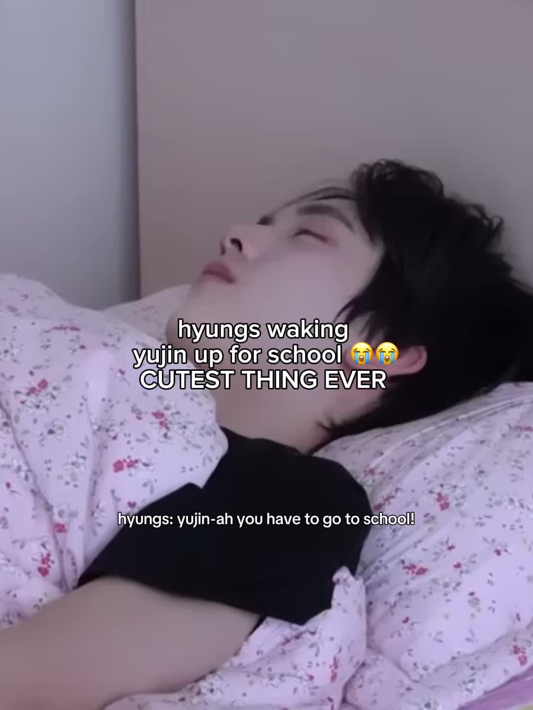 @gyuhaks 🐶🧸
