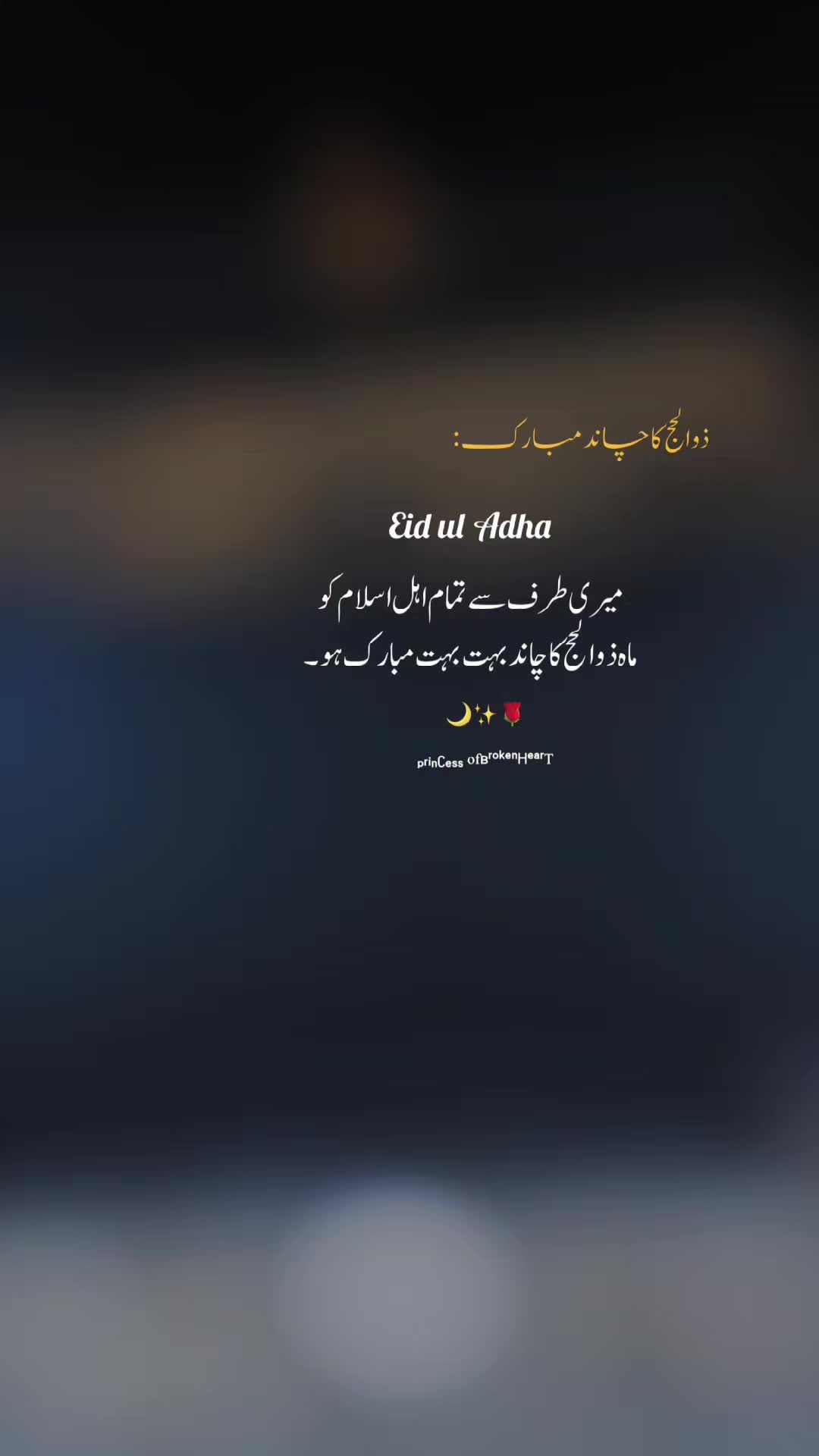 @alia malik