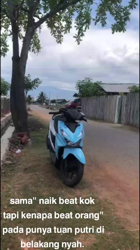 @𝗕𝗲𝗮𝘁 𝗔𝘇𝗼𝗿𝗮𝗮. 𝗩 🇻🇳