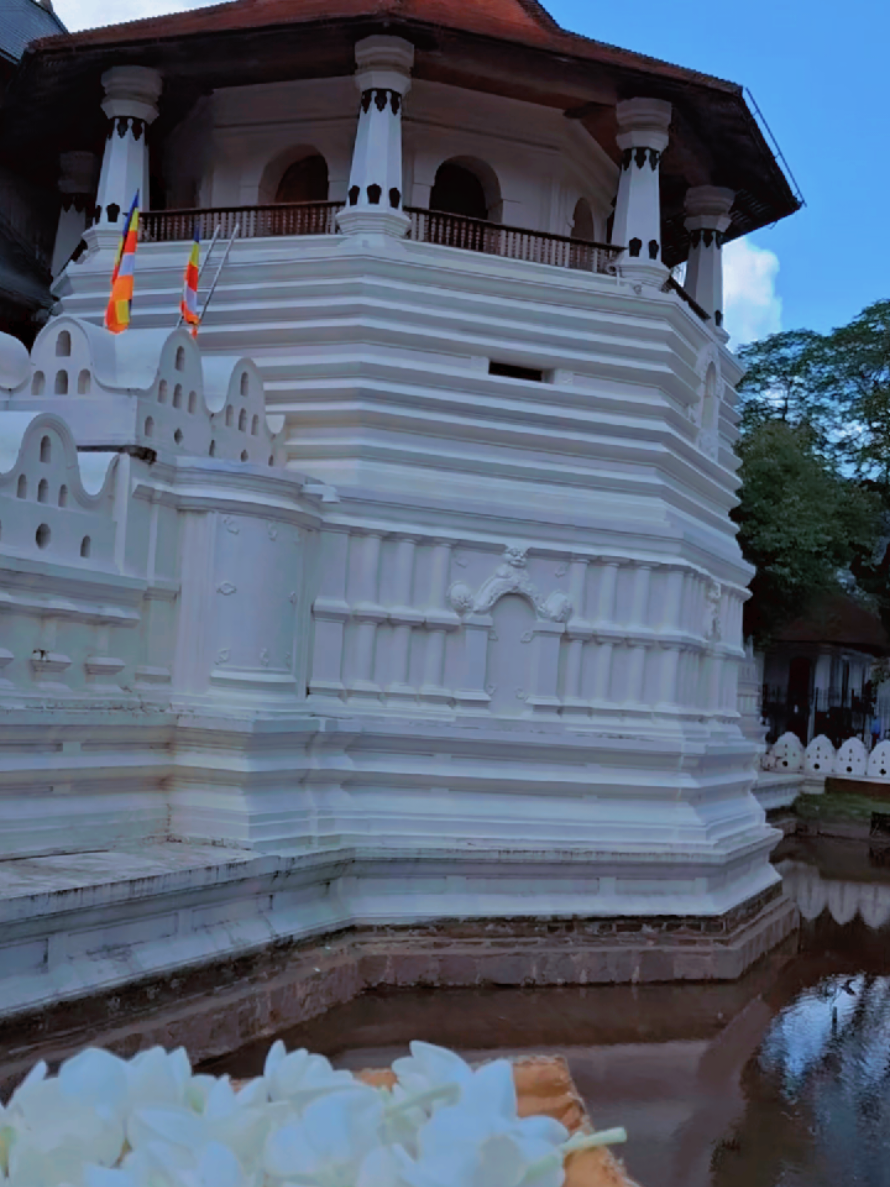 @Bhagya Subasinghe
