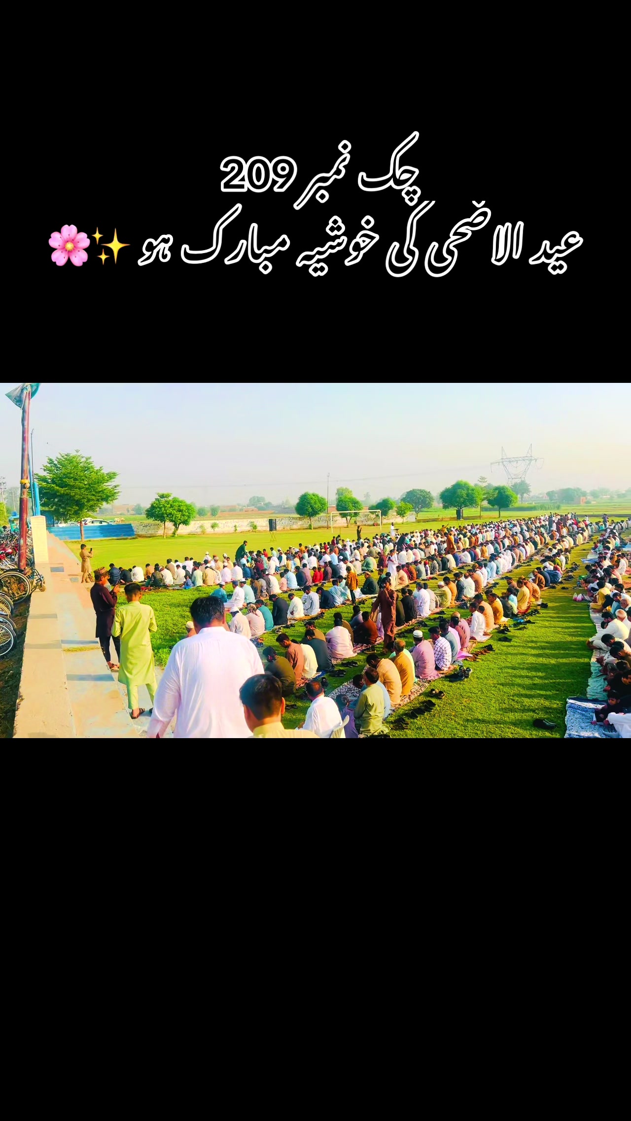 @merapind209