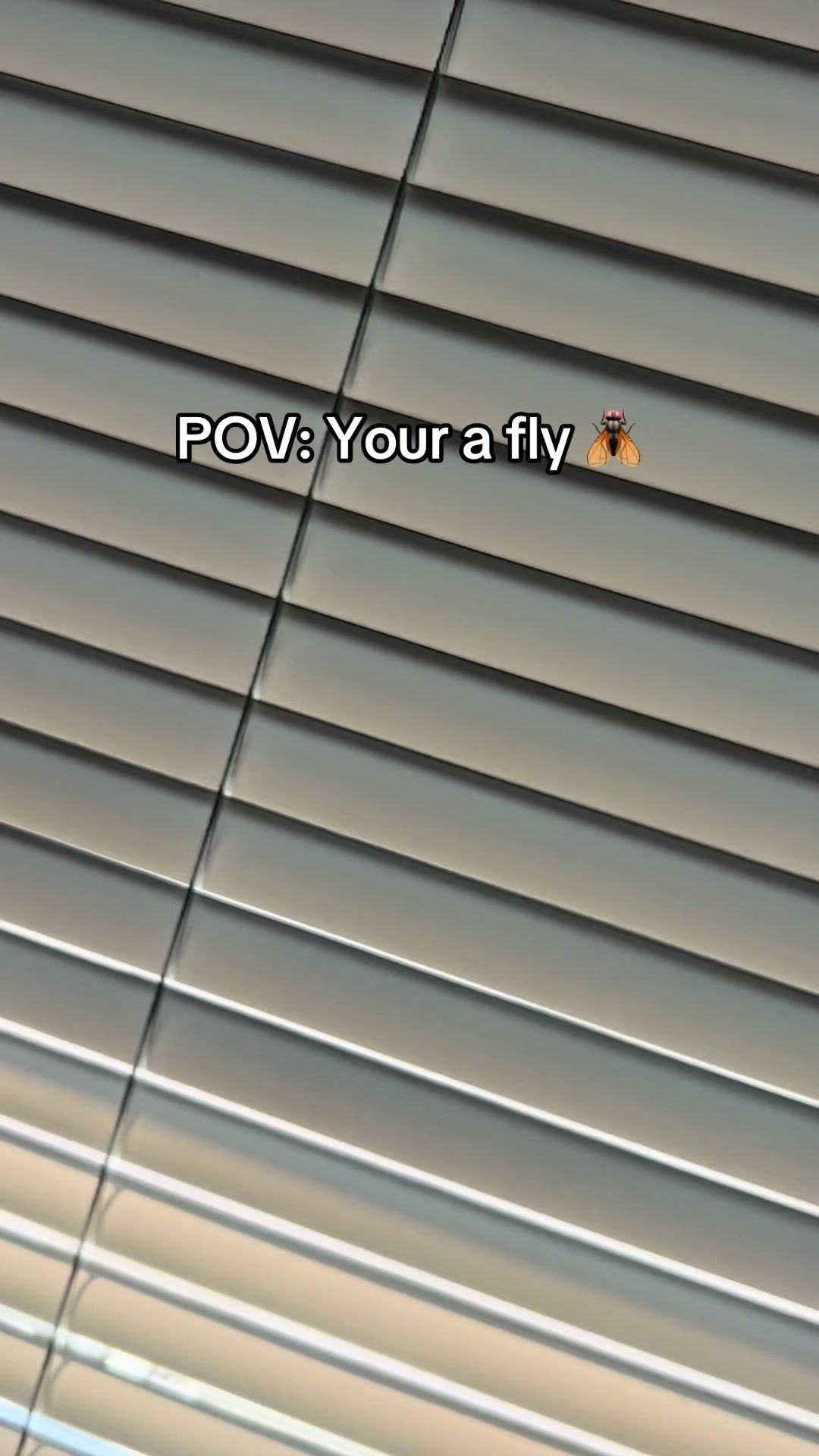 @Alex
