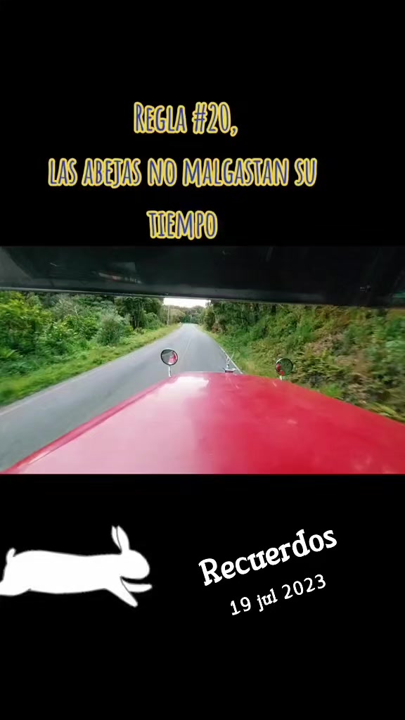 @๐ conejo ๐