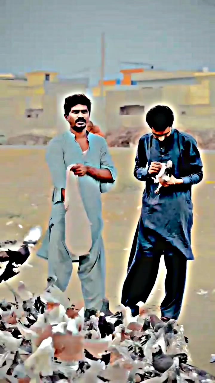 @عدیل رحمن لیہ وال کبوتر باز