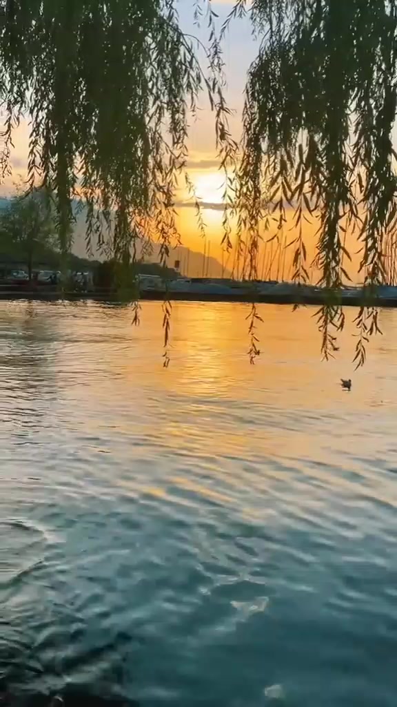 @etdiyini yaşatmasa &ouml;ldurmez☝️