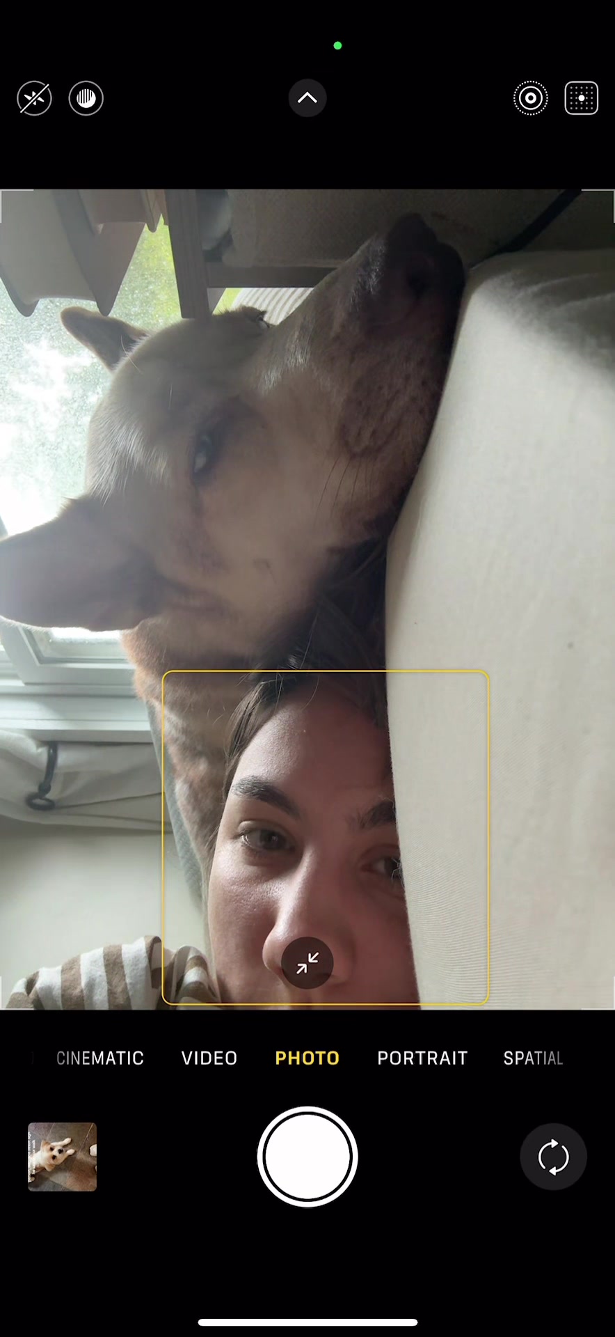 @Finn the Shepsky