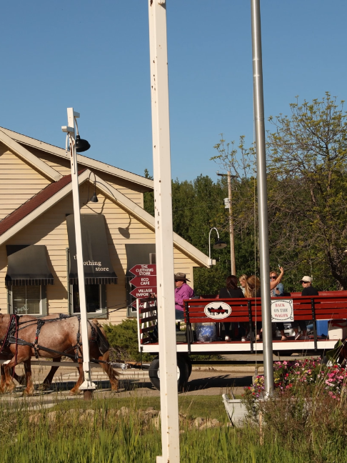@Pigeon Lake Horse Drawn 🇨🇦
