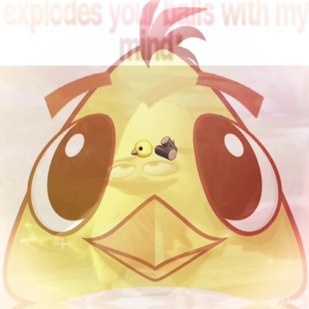 @๐ช ๊ณ • ๐กed เฆ'๐ผ ๐กayray ห โง