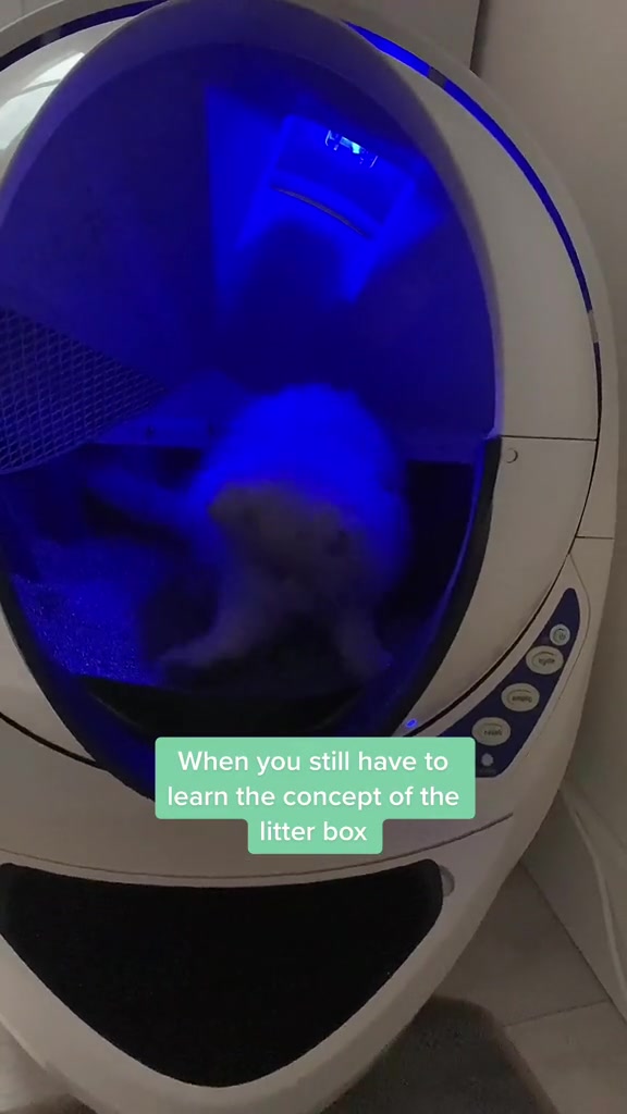 @Dutchkittycat