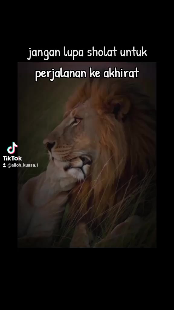 @Subhanallah