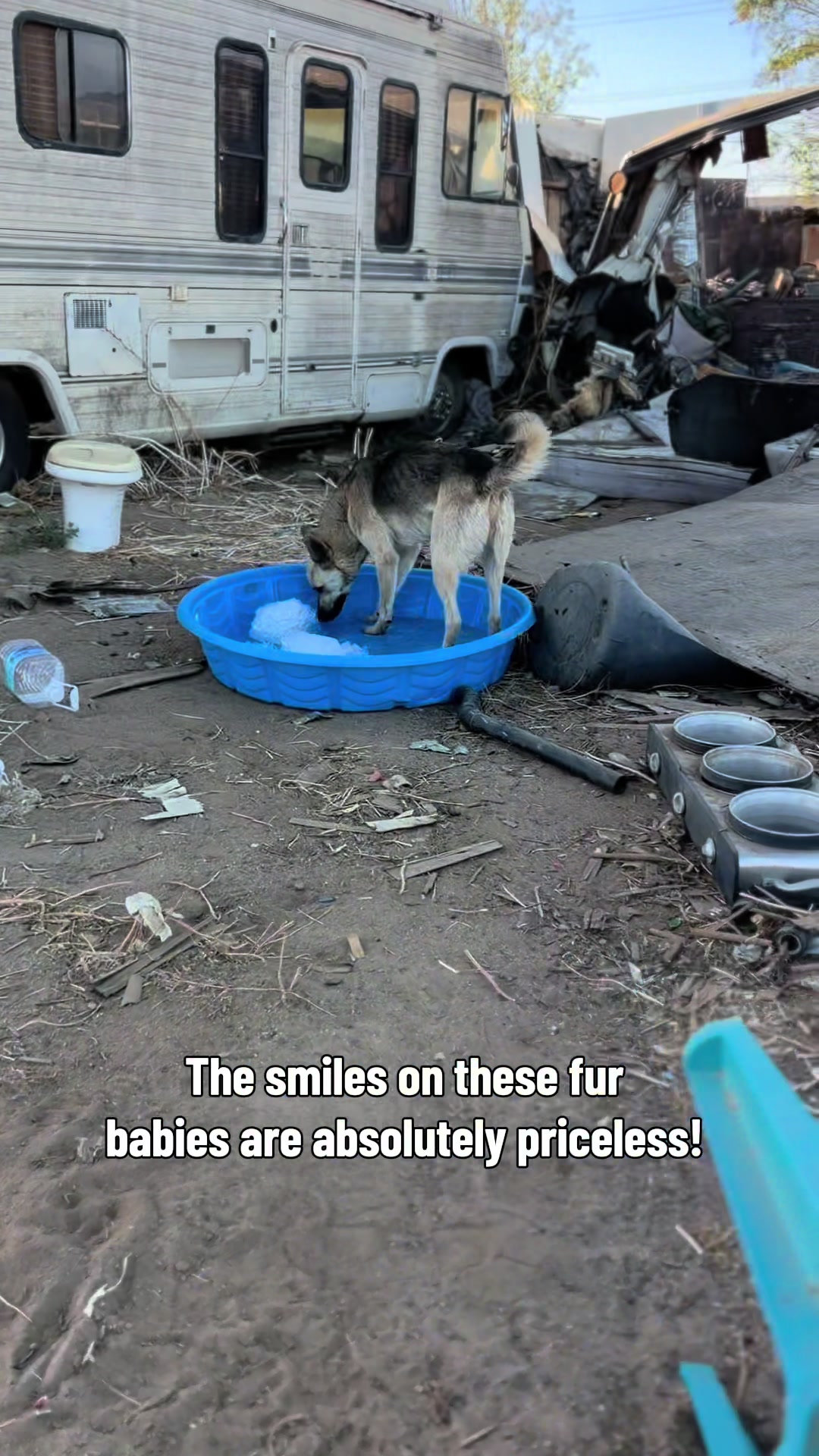 @Feedingperrisstrays