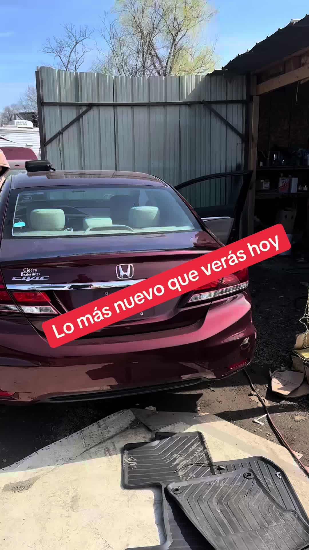@estarli18