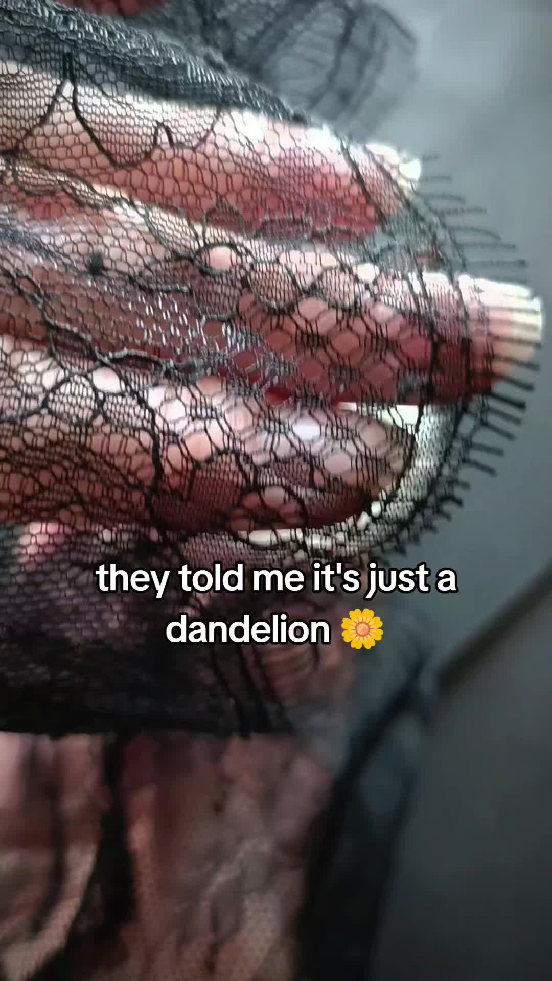 @TarantulaBox