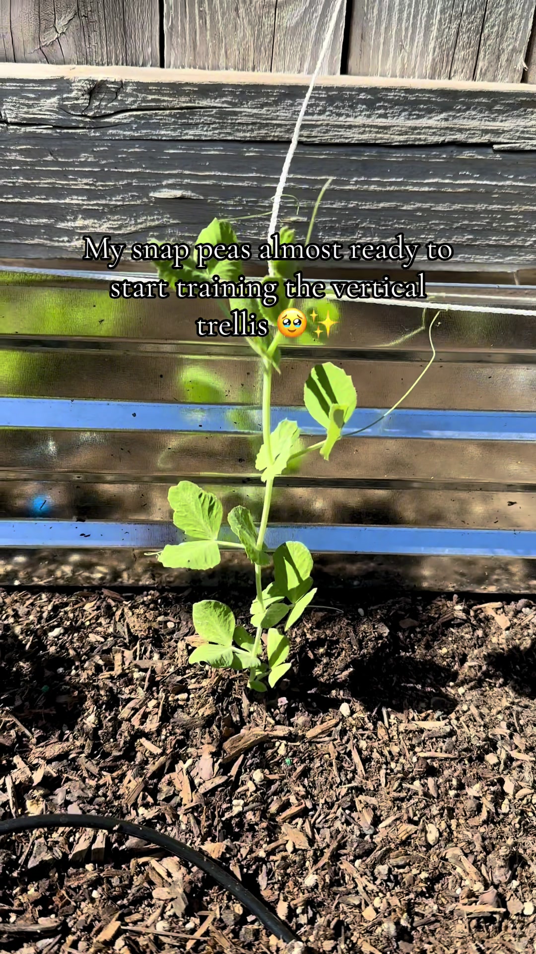 @plantingwithe