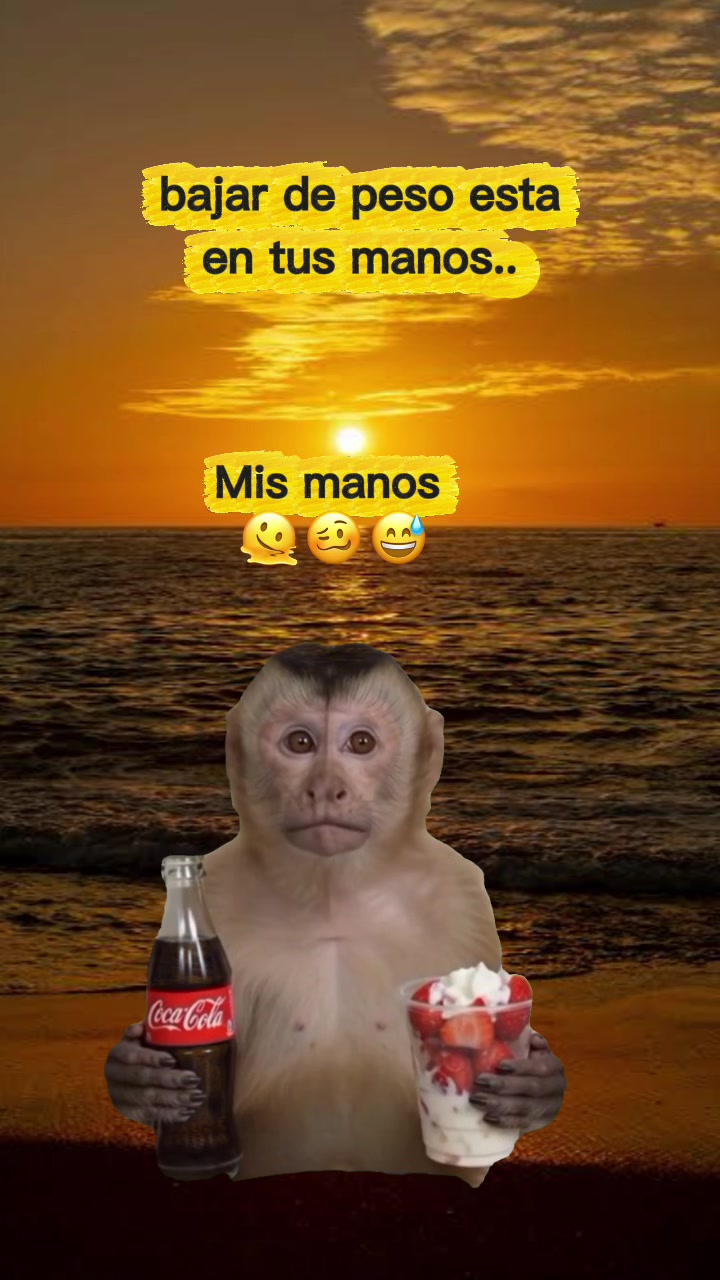 @Vane LC