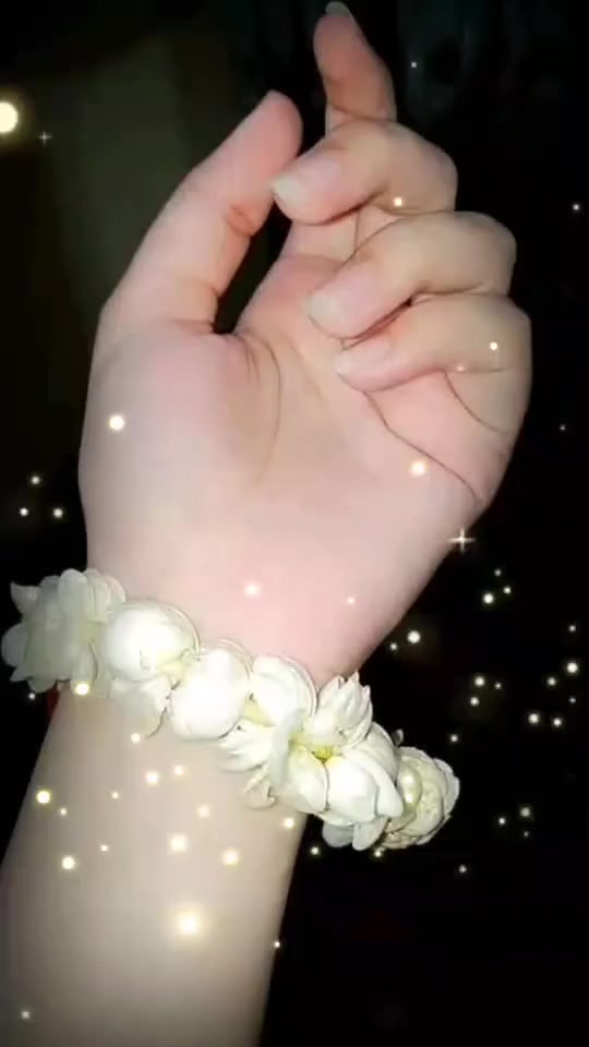 @๐จ๐๐๐๐๐๐๐๐๐ฉ๐๐๐๐