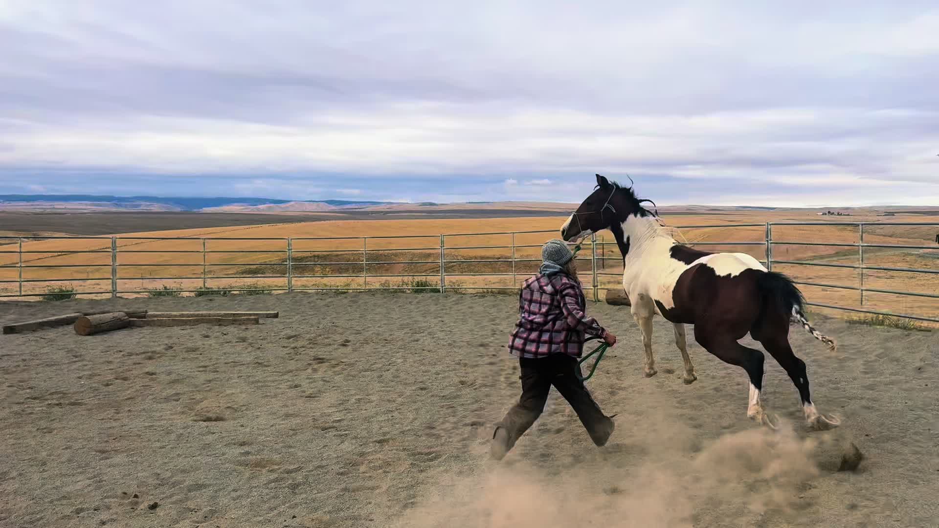 @Cowgirl Tuff Colt Training ❤️